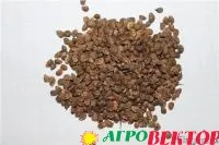 Семена эспарцета (onobrychis mill), сорт "Песчаный 1251" для посева
